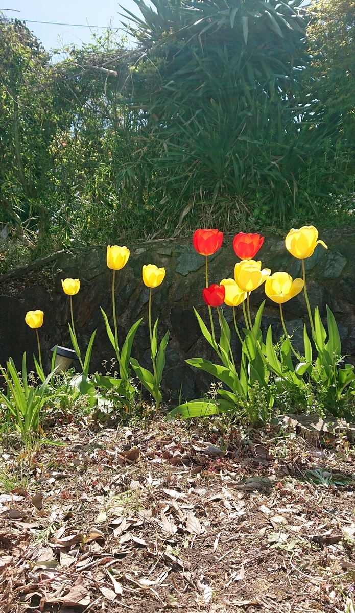 f:id:funaosarasa:20200426212751j:plain f:id:funaosarasa:20200426212751j:plain