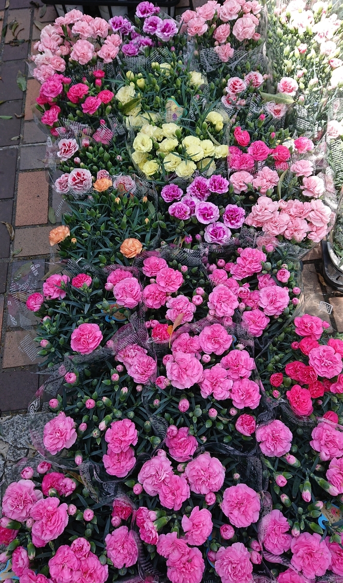 f:id:funaosarasa:20200509152428j:plain
