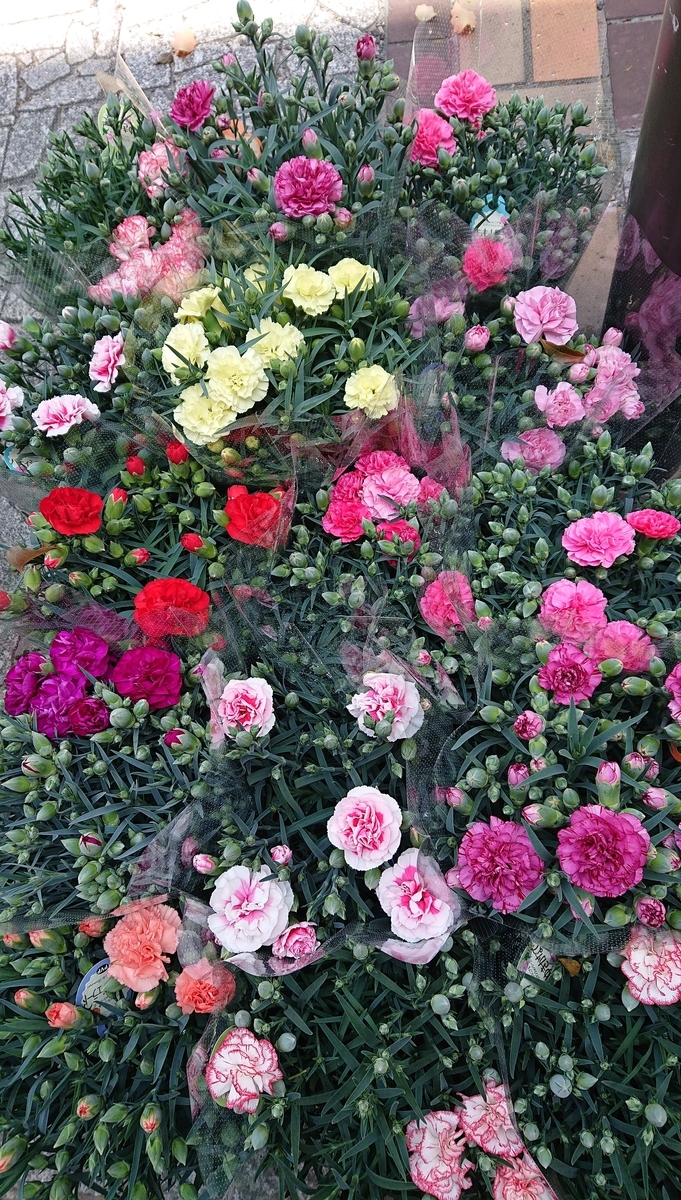 f:id:funaosarasa:20200509152704j:plain