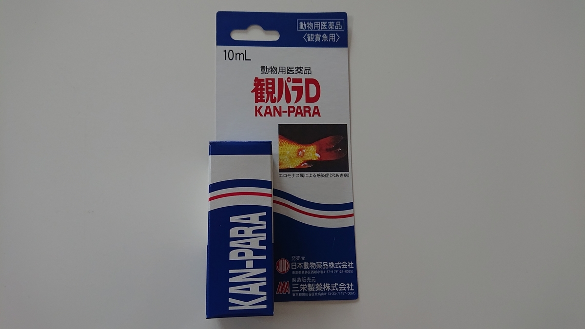 f:id:funaosarasa:20200706092927j:plain