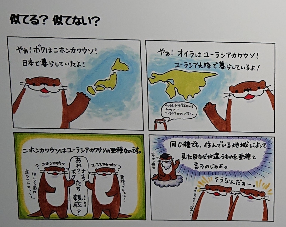 f:id:funaosarasa:20200728230340j:plain