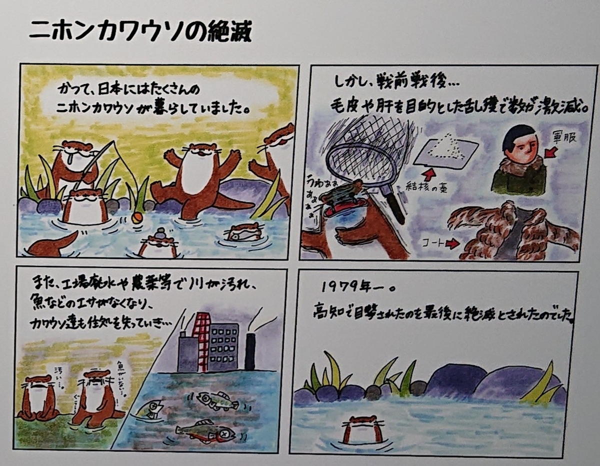 f:id:funaosarasa:20200728230458j:plain