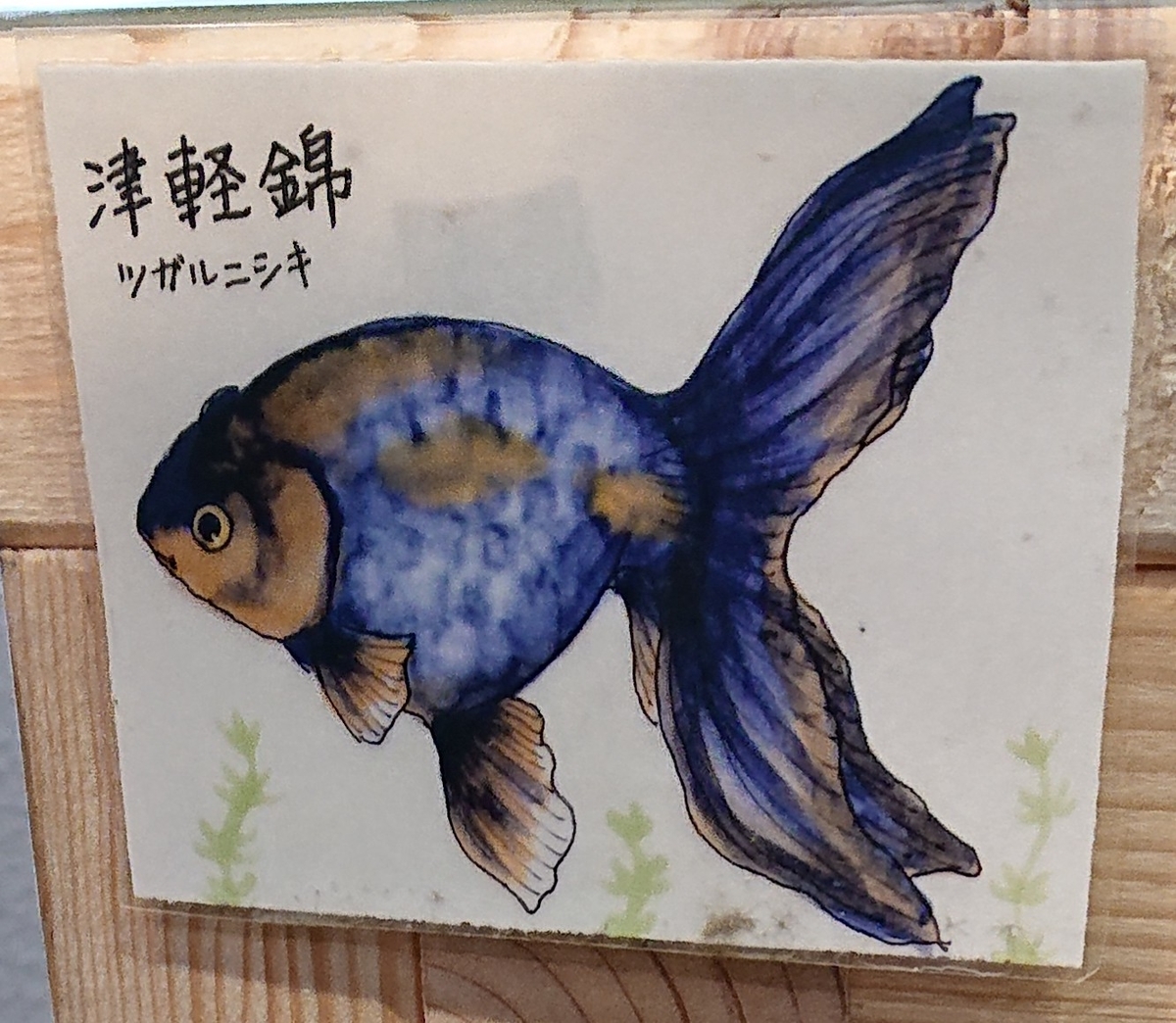 f:id:funaosarasa:20200731105128j:plain
