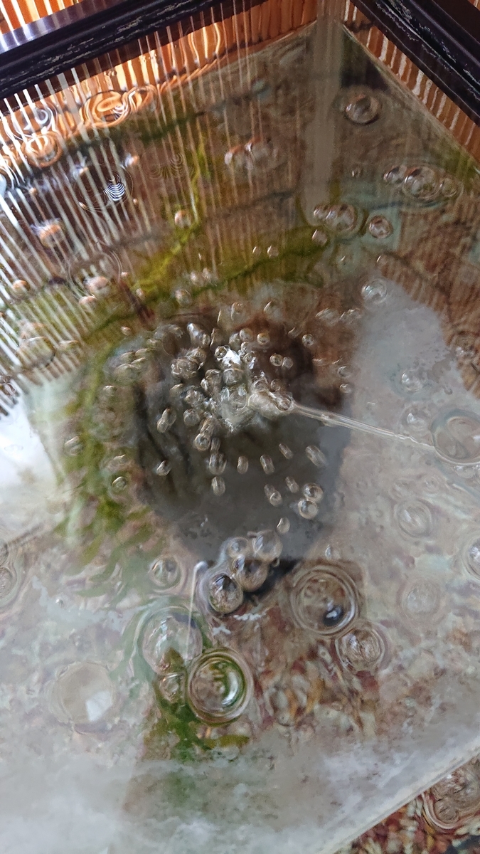 f:id:funaosarasa:20200804150009j:plain f:id:funaosarasa:20200804150009j:plain