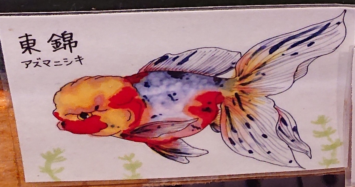 f:id:funaosarasa:20200805123044j:plain f:id:funaosarasa:20200805123044j:plain