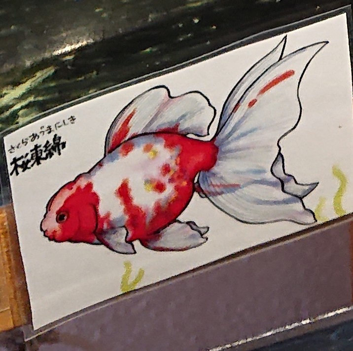 f:id:funaosarasa:20200806104802j:plain f:id:funaosarasa:20200806104802j:plain