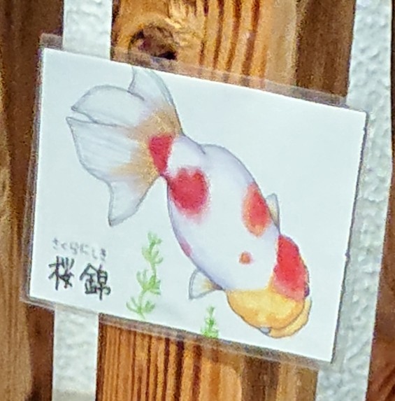 f:id:funaosarasa:20200807141103j:plain f:id:funaosarasa:20200807141103j:plain