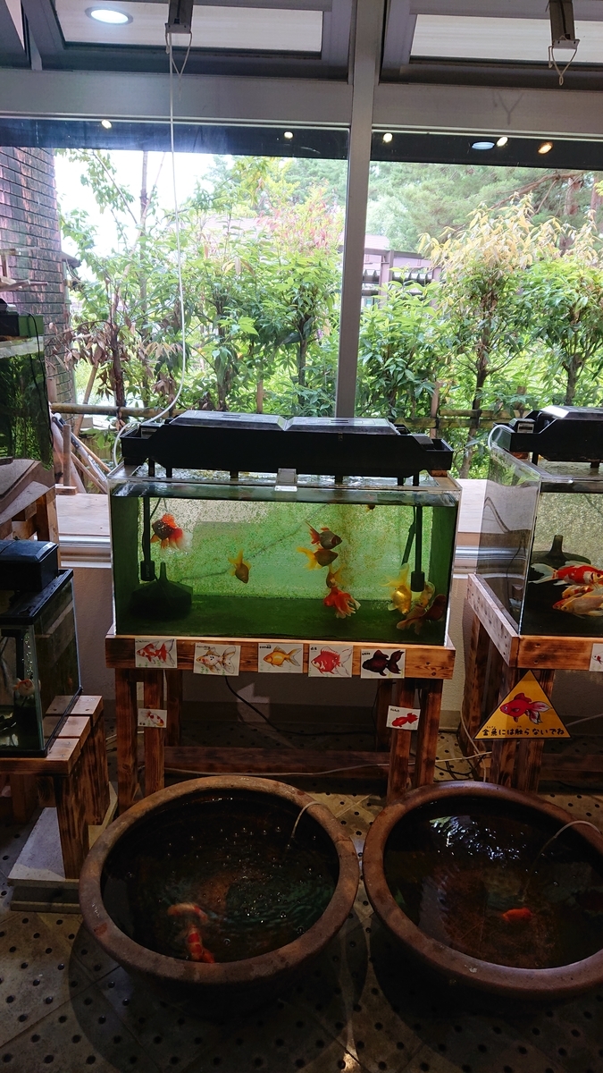f:id:funaosarasa:20200807224332j:plain