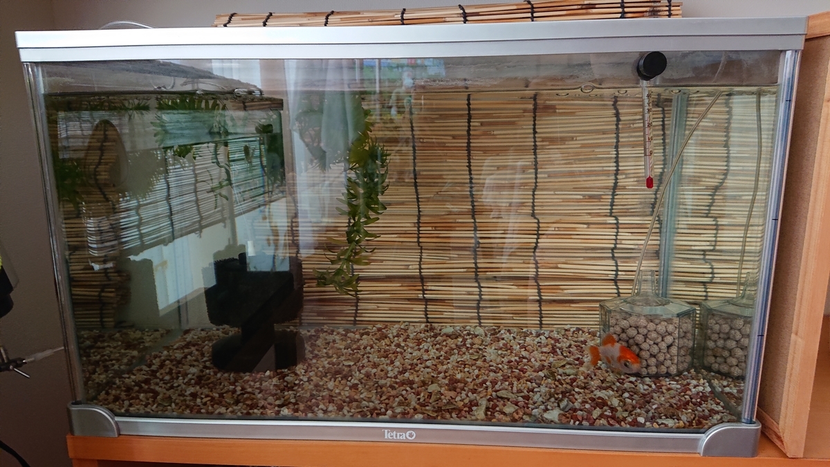 f:id:funaosarasa:20200811145603j:plain f:id:funaosarasa:20200811145603j:plain