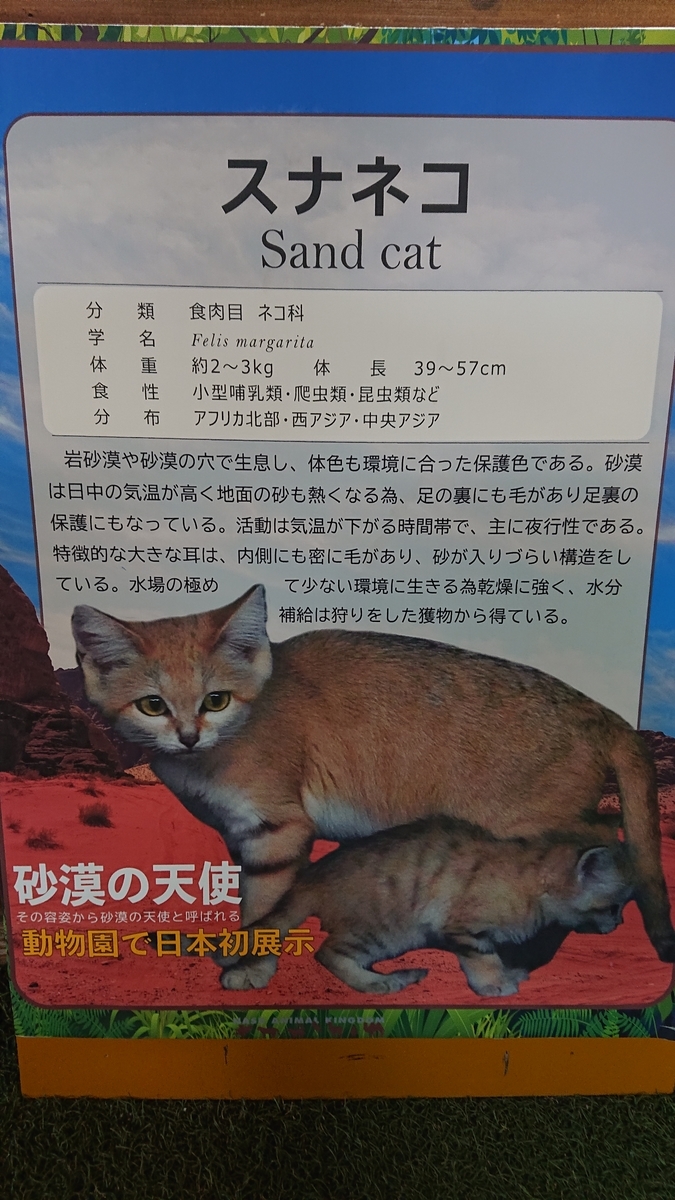 f:id:funaosarasa:20200829160539j:plain f:id:funaosarasa:20200829160539j:plain