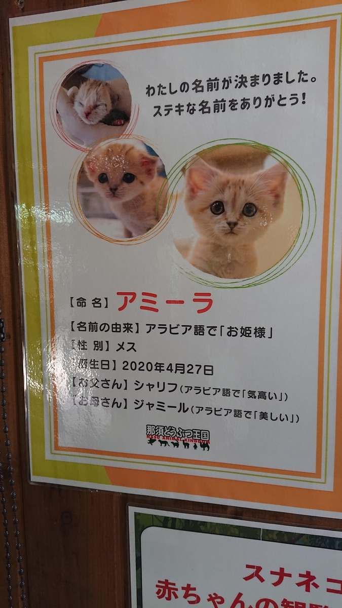 f:id:funaosarasa:20200829161239j:plain f:id:funaosarasa:20200829161239j:plain