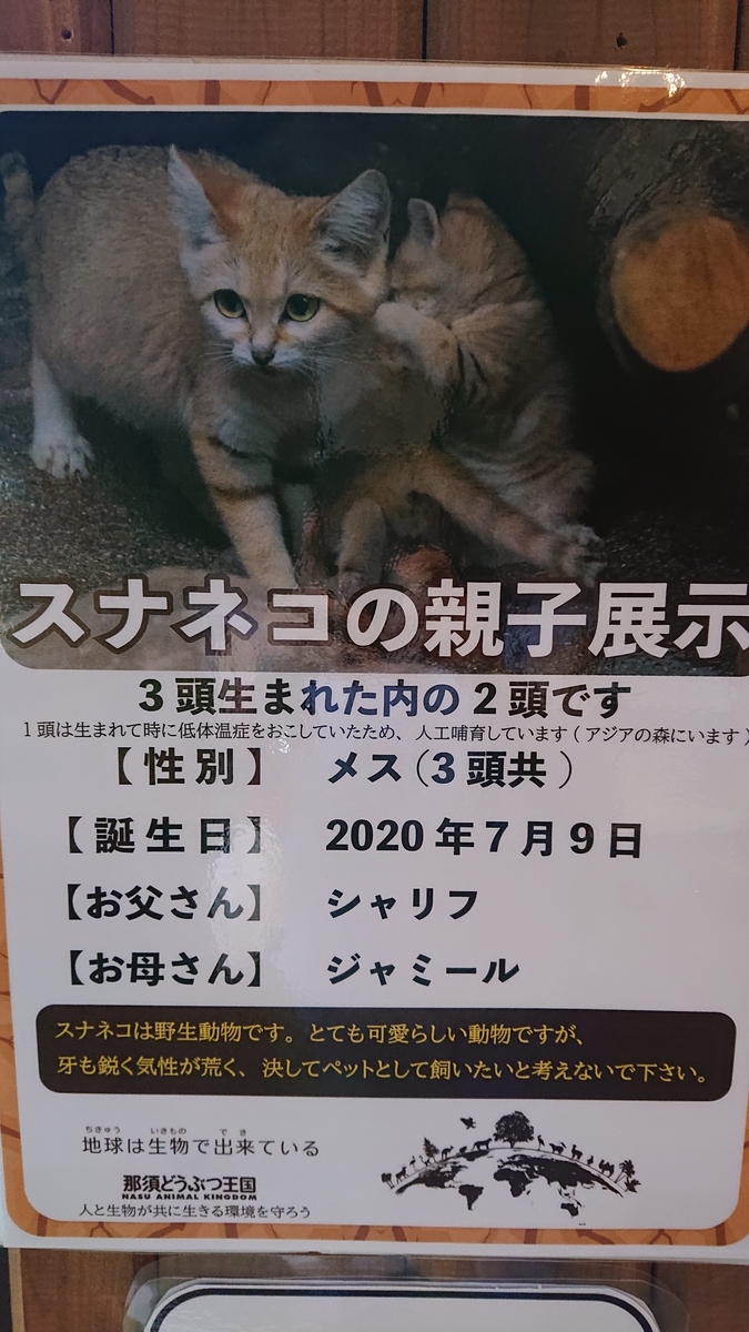 f:id:funaosarasa:20200829174838j:plain f:id:funaosarasa:20200829174838j:plain
