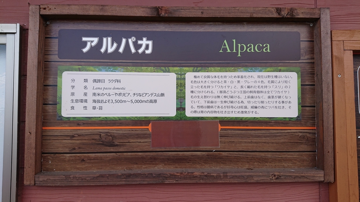 f:id:funaosarasa:20200904145244j:plain