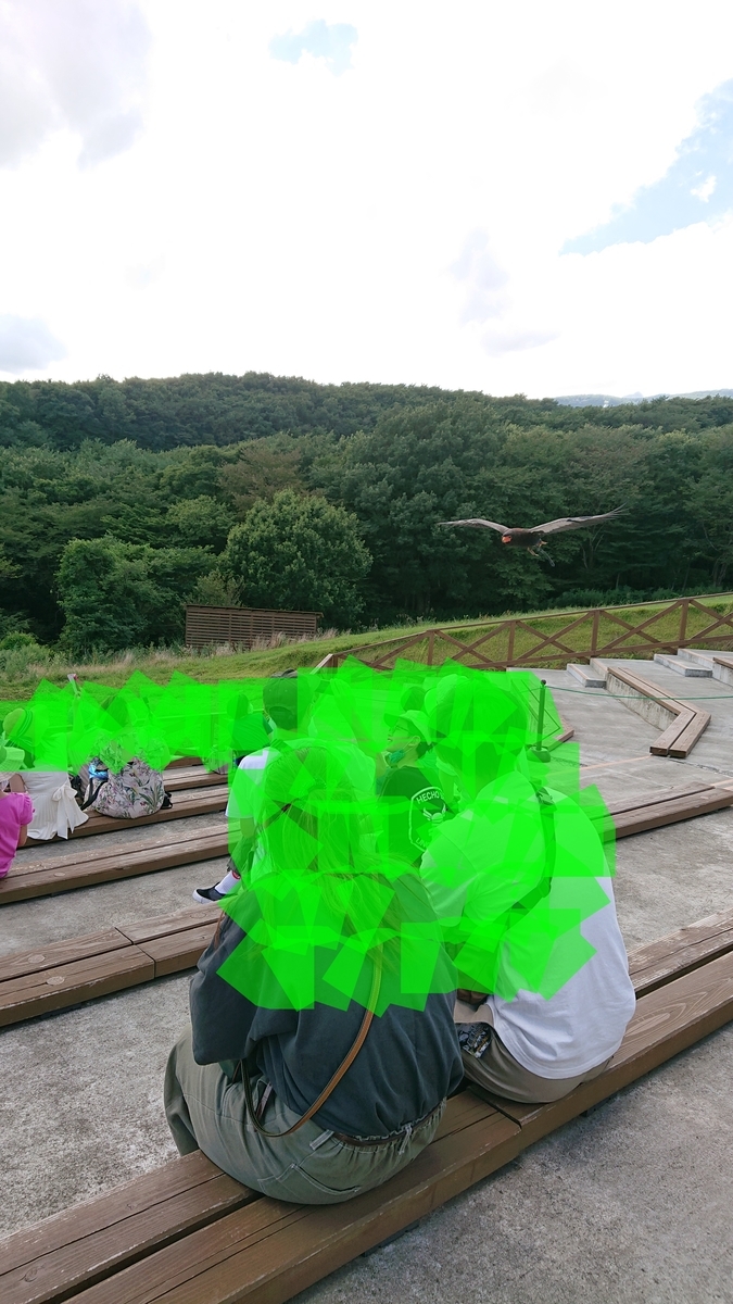 f:id:funaosarasa:20200905160054j:plain f:id:funaosarasa:20200905160054j:plain