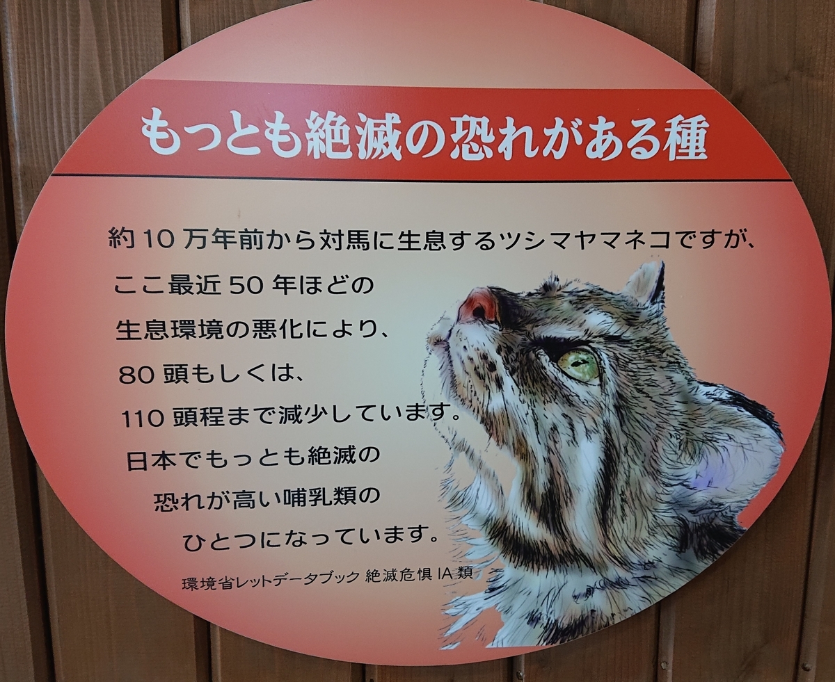 f:id:funaosarasa:20200905161701j:plain f:id:funaosarasa:20200905161701j:plain