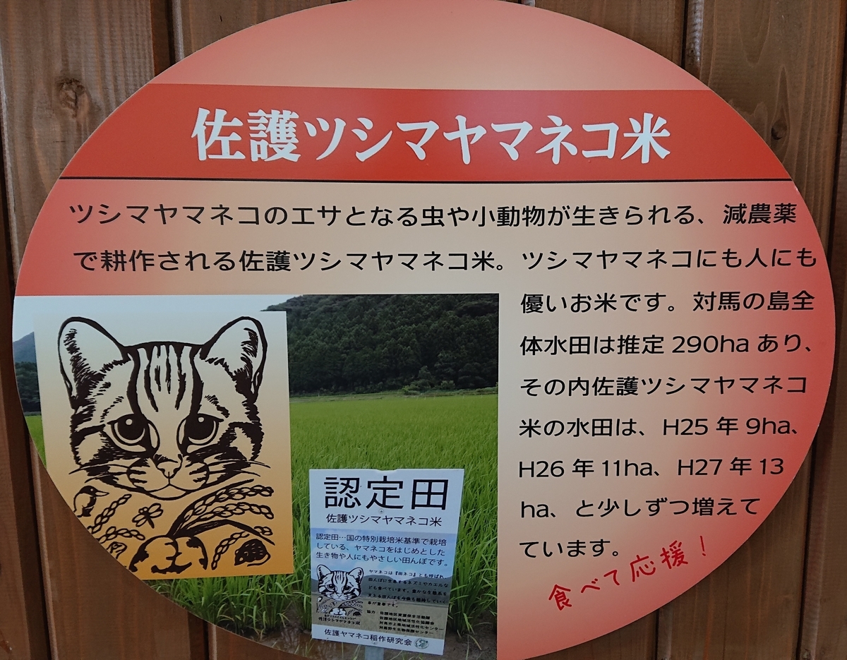 f:id:funaosarasa:20200905161803j:plain f:id:funaosarasa:20200905161803j:plain
