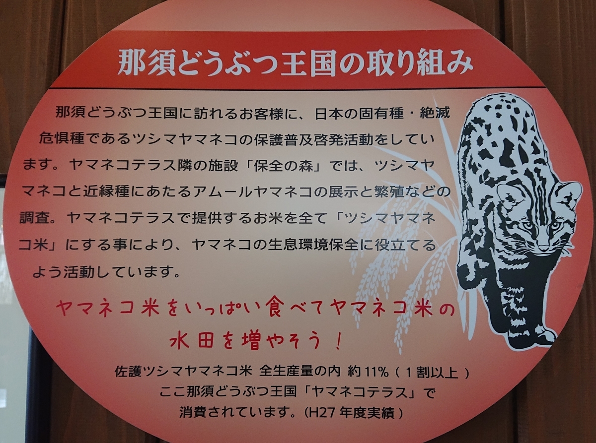f:id:funaosarasa:20200905161829j:plain f:id:funaosarasa:20200905161829j:plain