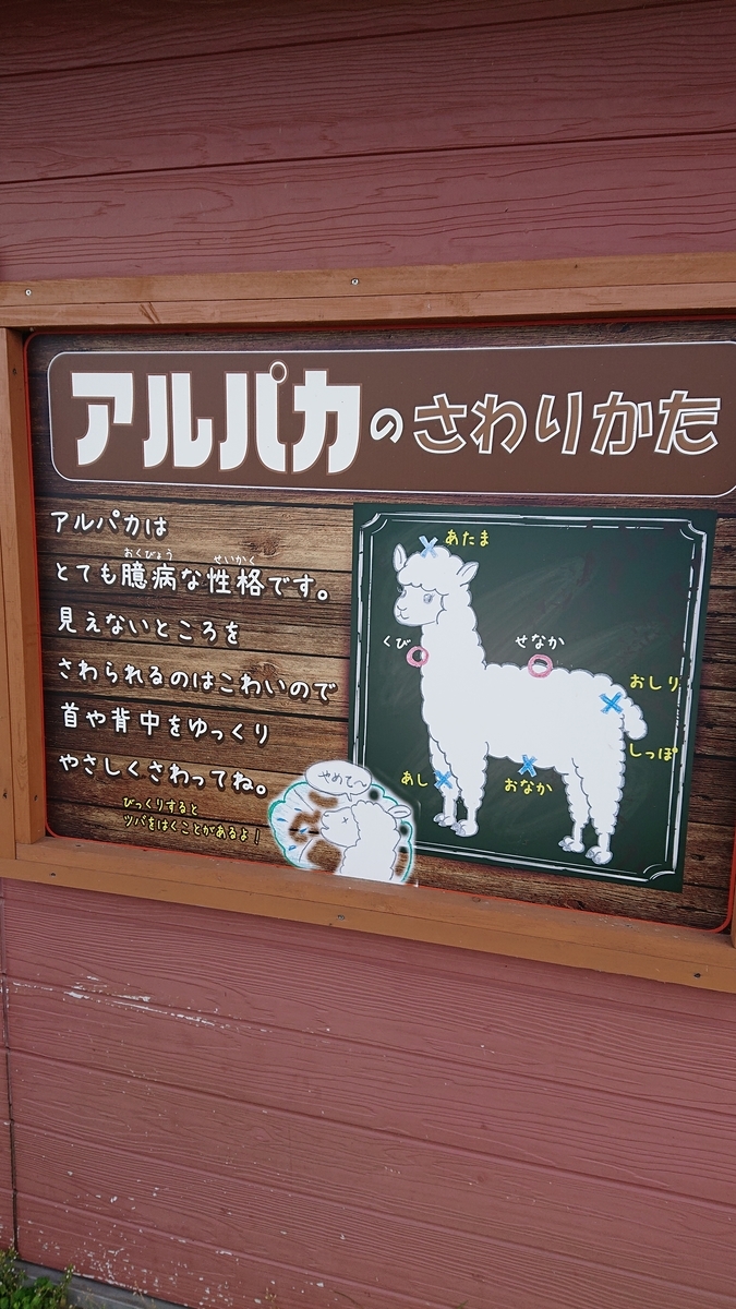 f:id:funaosarasa:20200905162943j:plain f:id:funaosarasa:20200905162943j:plain