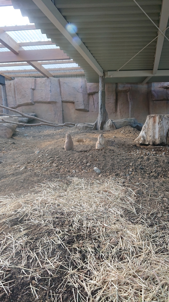 f:id:funaosarasa:20200906103600j:plain f:id:funaosarasa:20200906103600j:plain