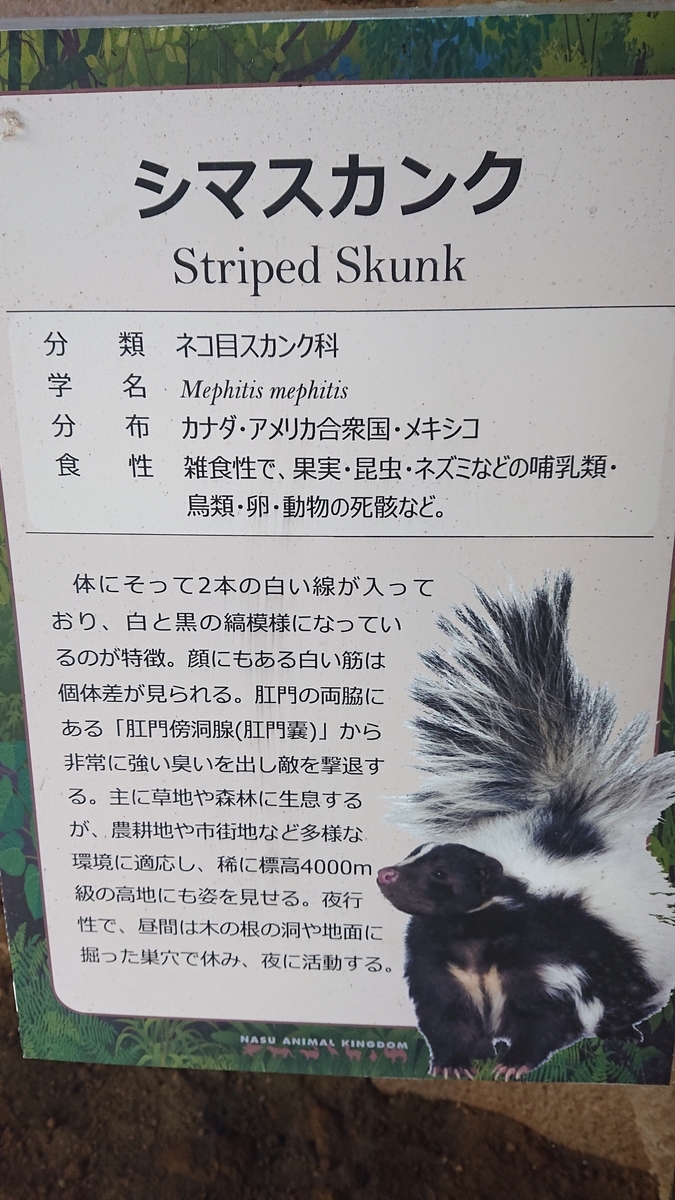 f:id:funaosarasa:20200906104317j:plain f:id:funaosarasa:20200906104317j:plain