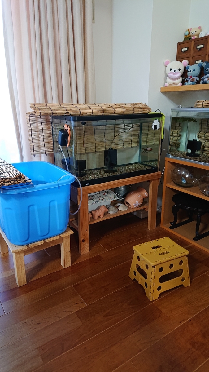 f:id:funaosarasa:20200908150211j:plain f:id:funaosarasa:20200908150211j:plain