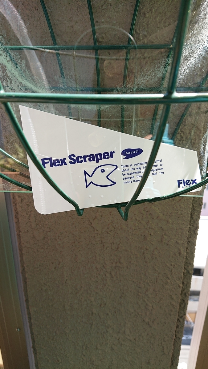 f:id:funaosarasa:20200908150606j:plain f:id:funaosarasa:20200908150606j:plain