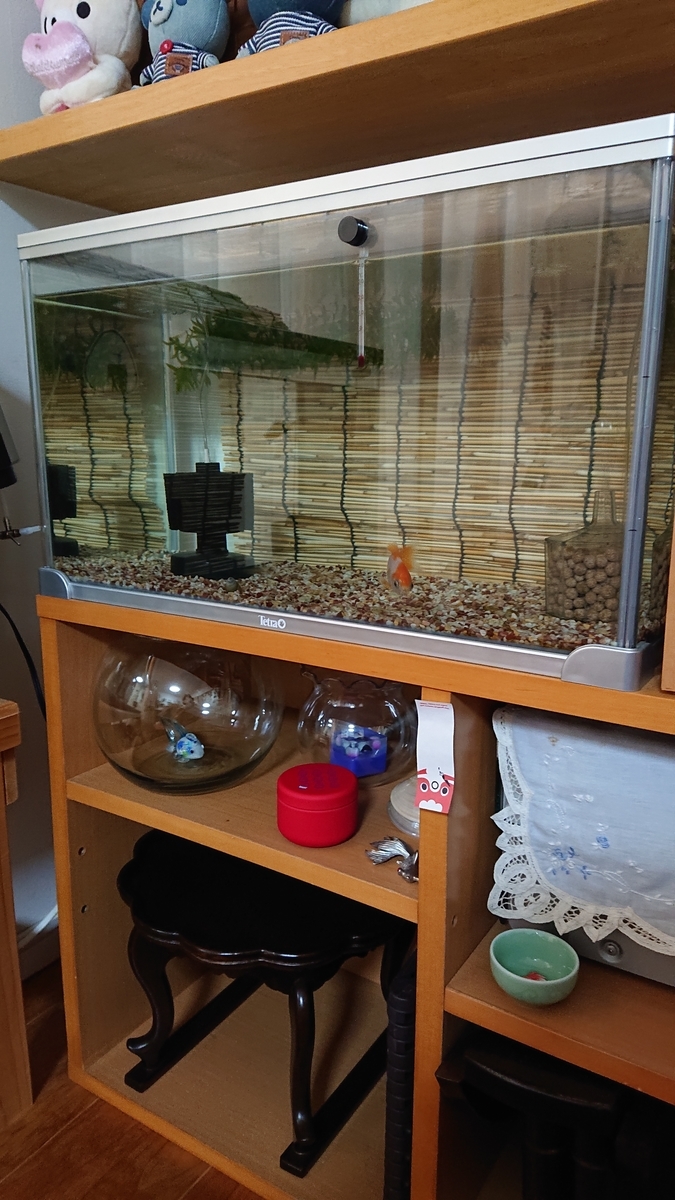 f:id:funaosarasa:20200911124134j:plain f:id:funaosarasa:20200911124134j:plain
