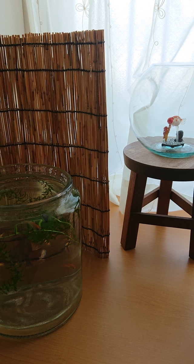 f:id:funaosarasa:20201006123811j:plain
