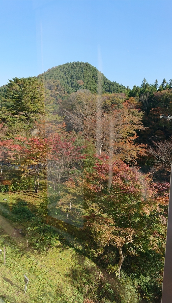 f:id:funaosarasa:20201103161010j:plain f:id:funaosarasa:20201103161010j:plain