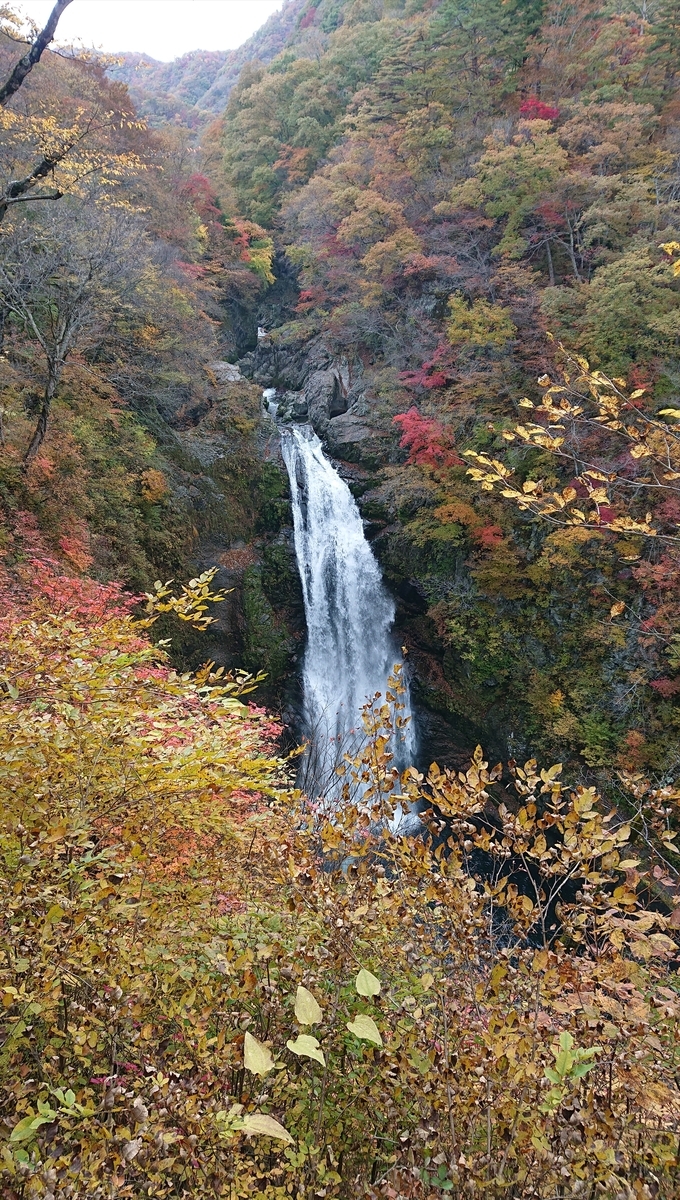 f:id:funaosarasa:20201103161855j:plain f:id:funaosarasa:20201103161855j:plain