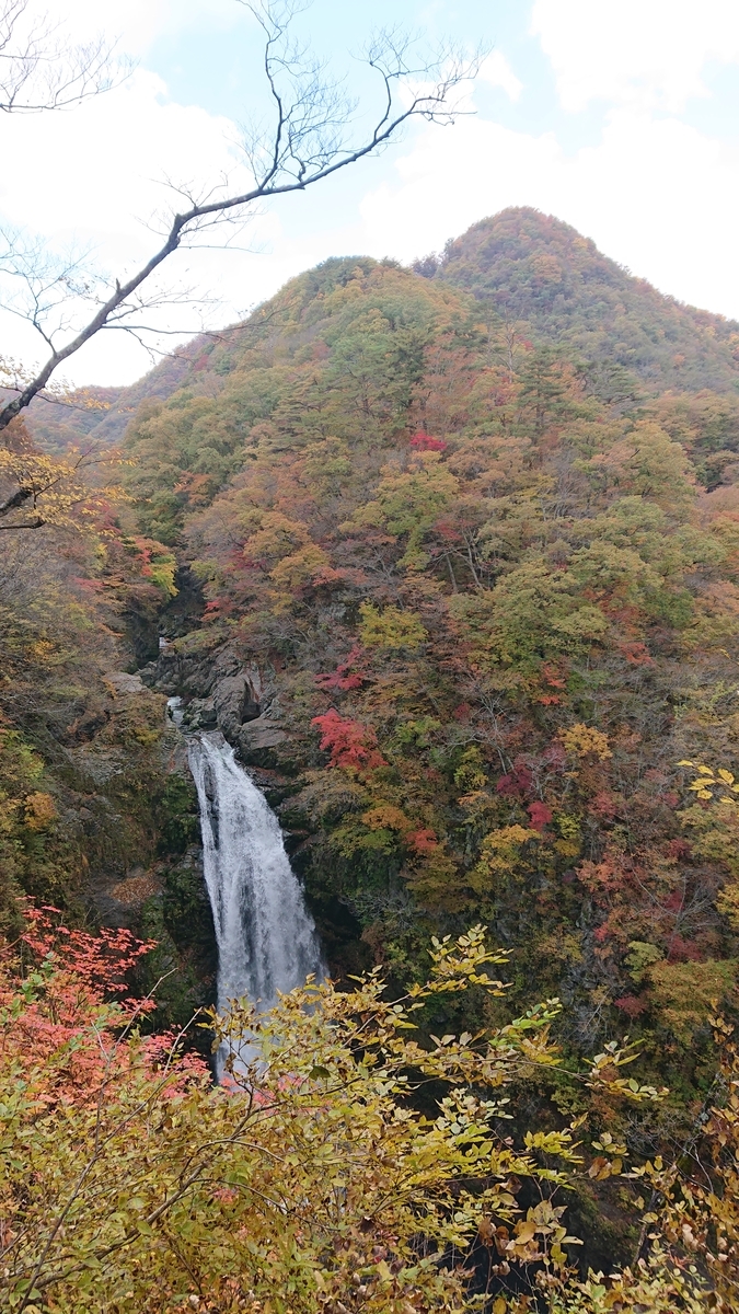 f:id:funaosarasa:20201103162000j:plain f:id:funaosarasa:20201103162000j:plain