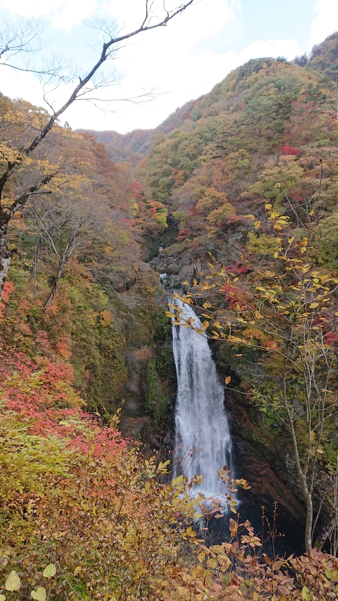f:id:funaosarasa:20201103162411j:plain f:id:funaosarasa:20201103162411j:plain