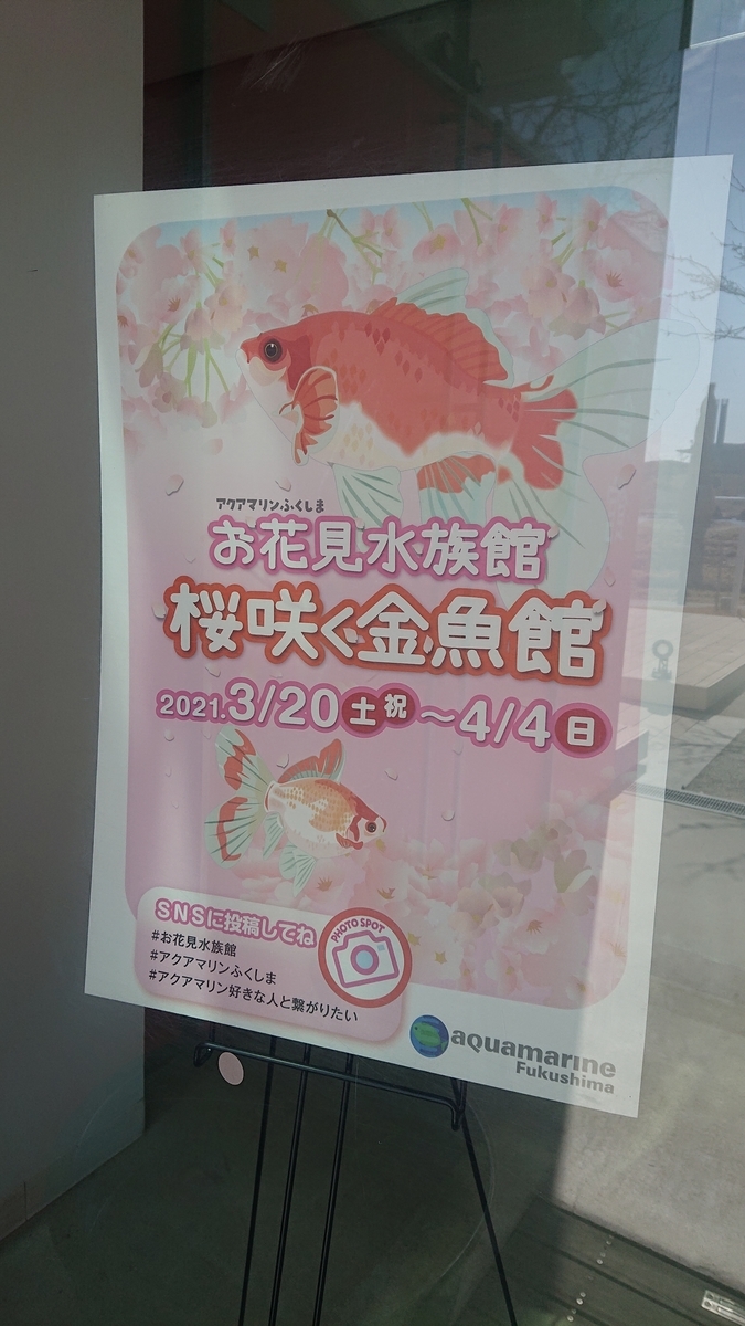 f:id:funaosarasa:20210320092312j:plain