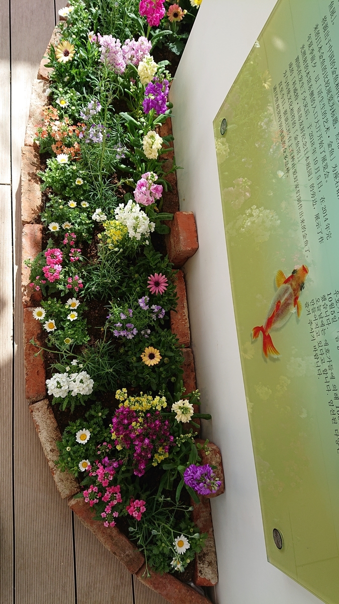 f:id:funaosarasa:20210320092641j:plain
