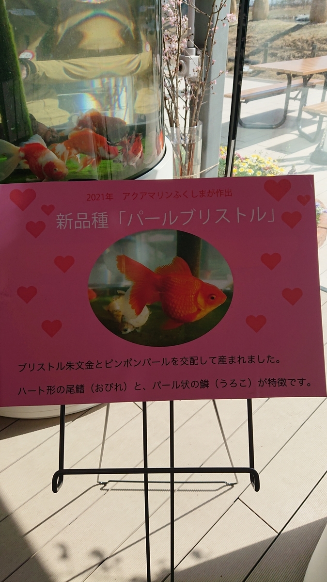 f:id:funaosarasa:20210325151907j:plain