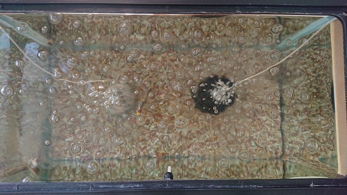 f:id:funaosarasa:20210327164125j:plain