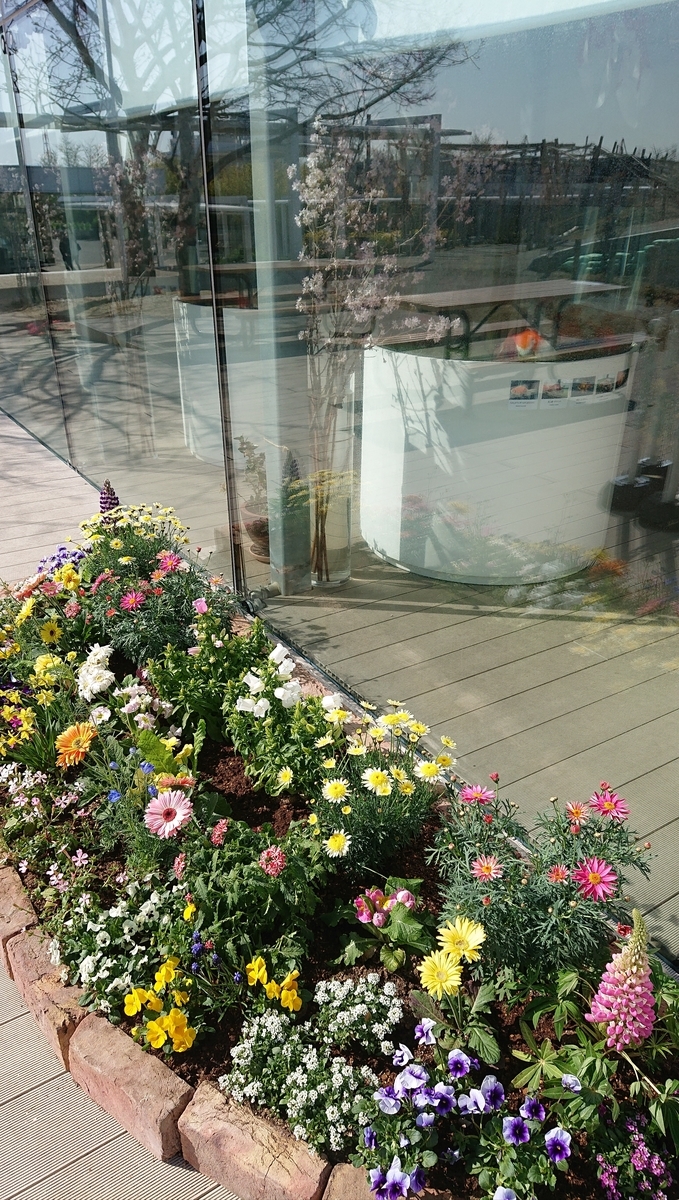 f:id:funaosarasa:20210330003102j:plain