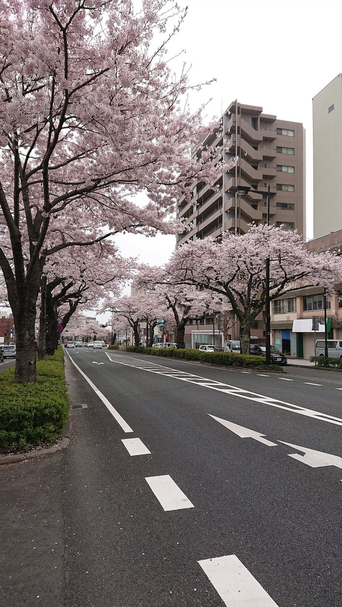 f:id:funaosarasa:20210330180014j:plain