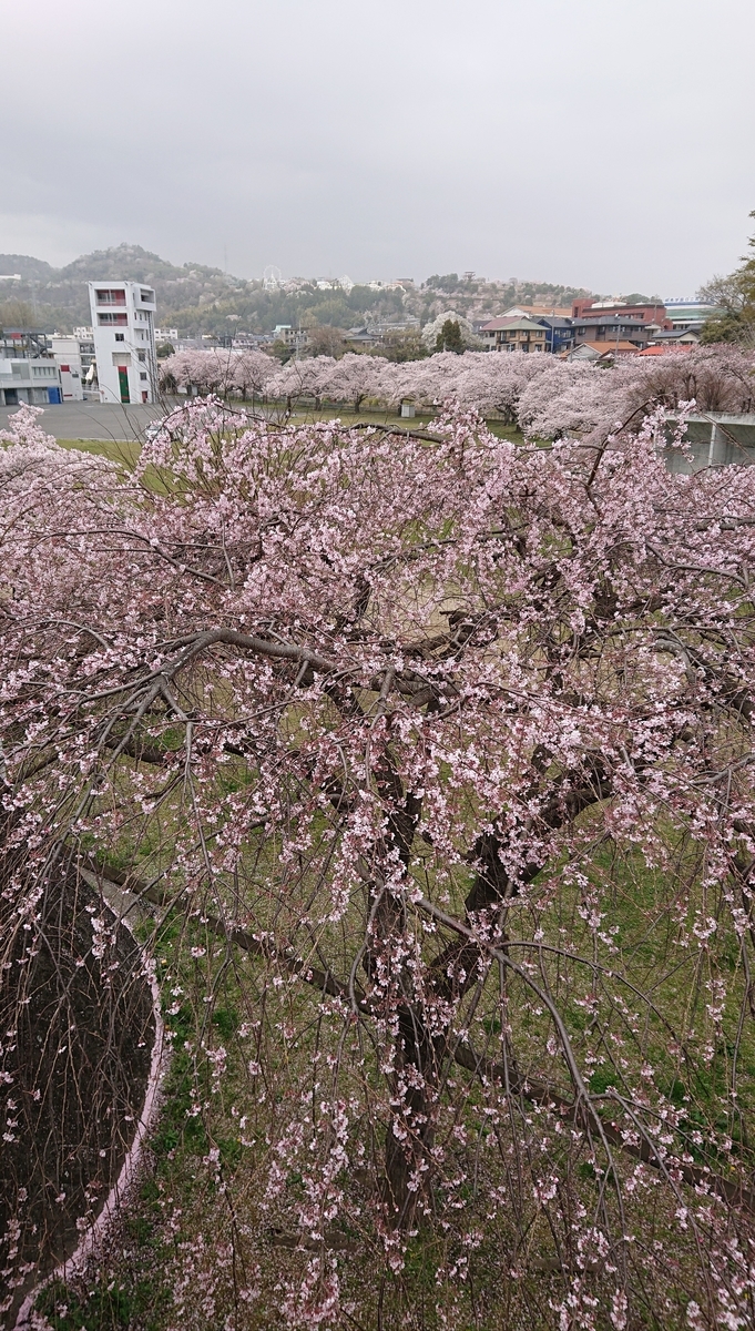 f:id:funaosarasa:20210330180115j:plain