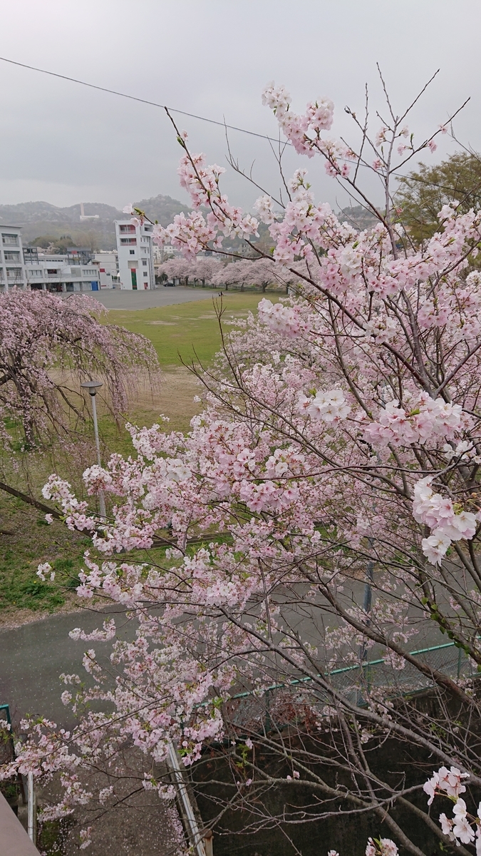 f:id:funaosarasa:20210330180307j:plain