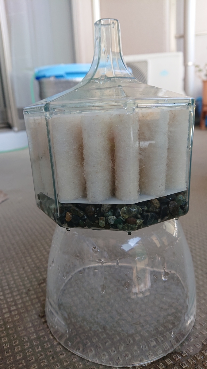 f:id:funaosarasa:20210404153708j:plain