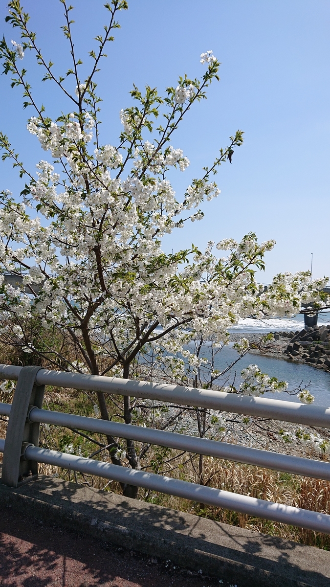 f:id:funaosarasa:20210404165758j:plain