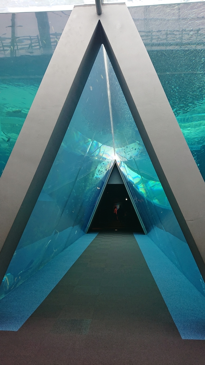 f:id:funaosarasa:20210410014632j:plain