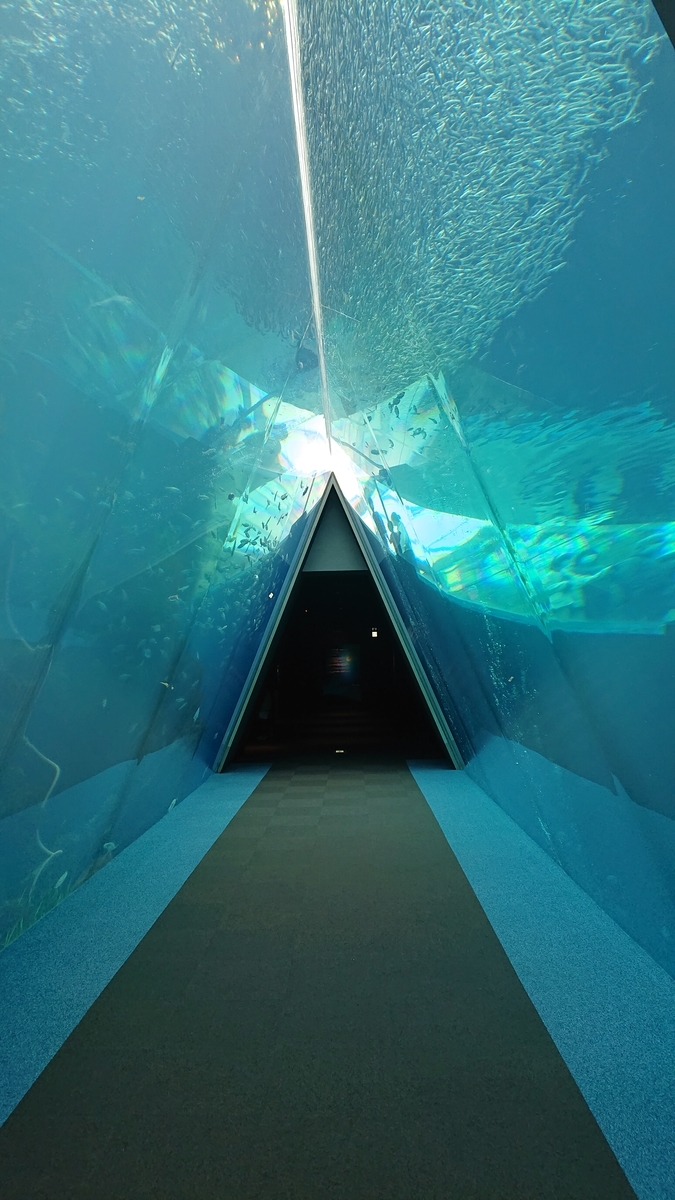 f:id:funaosarasa:20210410014713j:plain