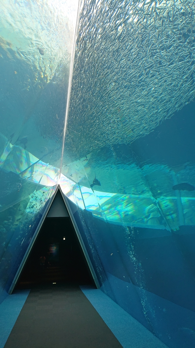 f:id:funaosarasa:20210410014804j:plain