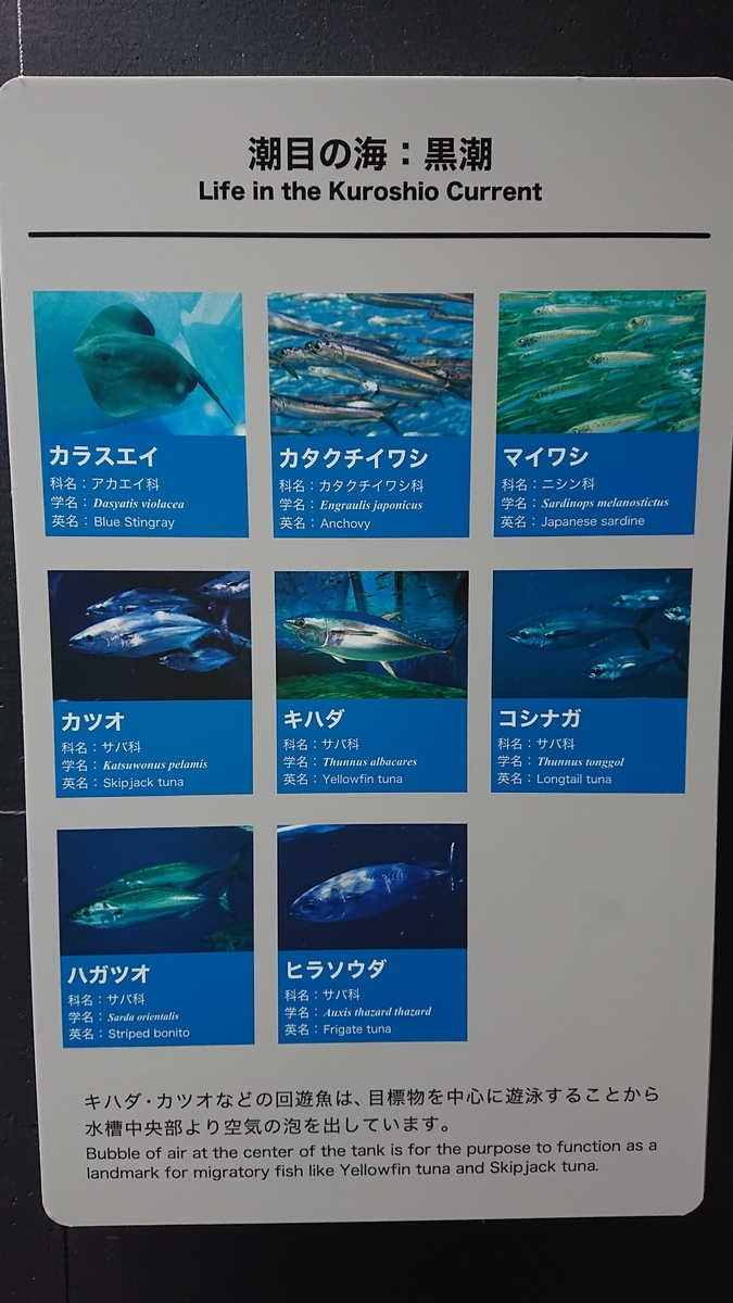 f:id:funaosarasa:20210410014859j:plain