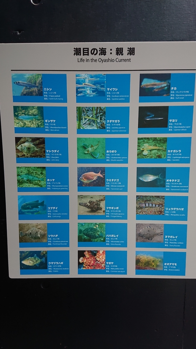 f:id:funaosarasa:20210410015100j:plain