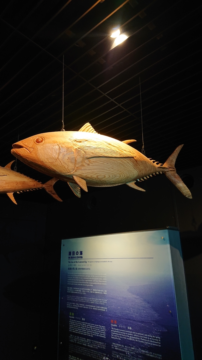 f:id:funaosarasa:20210410020248j:plain