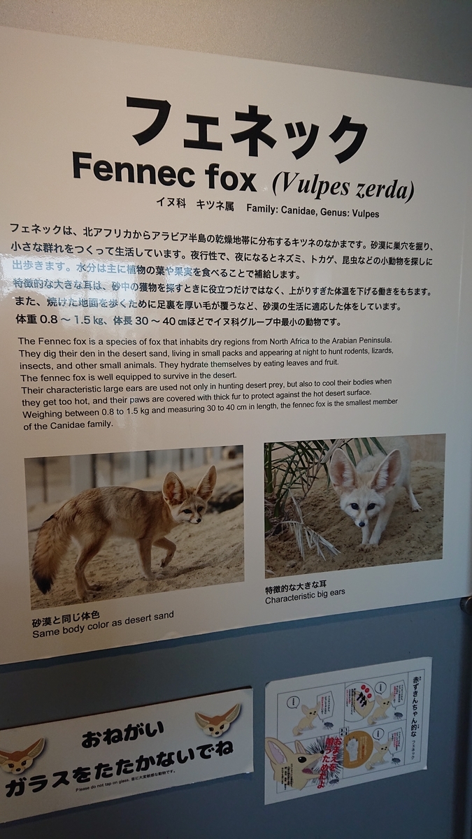 f:id:funaosarasa:20210421010028j:plain