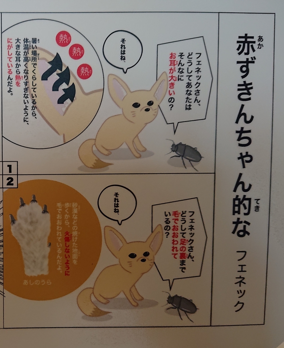 f:id:funaosarasa:20210421010138j:plain